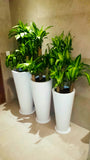 BARCELONA PLANTER Fiberglass Planters Gardia Planters Fiberglass planter for indoors and outdoors from big plus size planters and small pots for plants Large and big pots and large containers