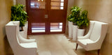 BARCELONA PLANTER Fiberglass Planters Gardia Planters Fiberglass planter for indoors and outdoors from big plus size planters and small pots for plants Large and big pots and large containers