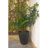 BRAZIL PLANTER Fiberglass Planters Gardia Planters Fiberglass planter for indoors and outdoors from big plus size planters and small pots for plants Large and big pots and large containers