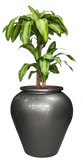 CAIRO PLANTER Fiberglass Planters Gardia Planters Fiberglass planter for indoors and outdoors from big plus size planters and small pots for plants Large and big pots and large containers