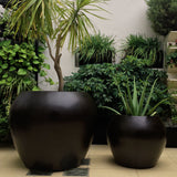 CANCUN PLANTER Fiberglass Planters Gardia Planters Fiberglass planter for indoors and outdoors from big plus size planters and small pots for plants Large and big pots and large containers