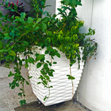 CARIBBEAN PLANTER Fiberglass Planters Gardia Planters Fiberglass planter for indoors and outdoors from big plus size planters and small pots for plants Large and big pots and large containers