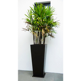SQUARE CONE PLANTER Fiberglass Planters Gardia Planters Fiberglass planter for indoors and outdoors from big plus size planters and small pots for plants Large and big pots and large containers