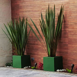 CUBIC PLANTER Fiberglass Planters Gardia Planters Fiberglass planter for indoors and outdoors from big plus size planters and small pots for plants Large and big pots and large containers