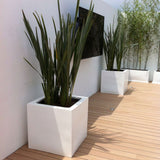 CUBIC PLANTER Fiberglass Planters Gardia Planters Fiberglass planter for indoors and outdoors from big plus size planters and small pots for plants Large and big pots and large containers
