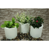 CYLINDER PLANTER Fiberglass Planters Gardia Planters Fiberglass planter for indoors and outdoors from big plus size planters and small pots for plants Large and big pots and large containers