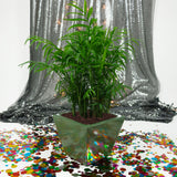 SQUARE CONE PLANTER Fiberglass Planters Gardia Planters Fiberglass planter for indoors and outdoors from big plus size planters and small pots for plants Large and big pots and large containers