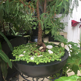 VENICE PLANTER Fiberglass Planters Gardia Planters Fiberglass planter for indoors and outdoors from big plus size planters and small pots for plants Large and big pots and large containers