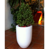 MONACO PLANTER Fiberglass Planters Gardia Planters Fiberglass planter for indoors and outdoors from big plus size planters and small pots for plants Large and big pots and large containers
