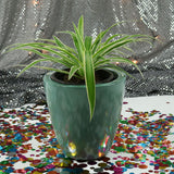 BRAZIL PLANTER Fiberglass Planters Gardia Planters Fiberglass planter for indoors and outdoors from big plus size planters and small pots for plants Large and big pots and large containers