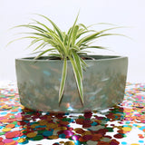 NILE PLANTER Fiberglass Planters Gardia Planters Fiberglass planter for indoors and outdoors from big plus size planters and small pots for plants Large and big pots and large containers