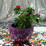 MONACO BOWL PLANTER Fiberglass Planters Gardia Planters Fiberglass planter for indoors and outdoors from big plus size planters and small pots for plants Large and big pots and large containers