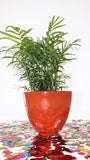 ARIZONA PLANTER Fiberglass Planters Gardia Planters Fiberglass planter for indoors and outdoors from big plus size planters and small pots for plants Large and big pots and large containers