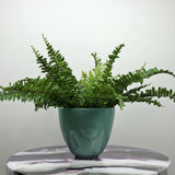 ARIZONA PLANTER Fiberglass Planters Gardia Planters Fiberglass planter for indoors and outdoors from big plus size planters and small pots for plants Large and big pots and large containers