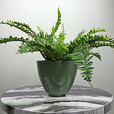 ARIZONA PLANTER Fiberglass Planters Gardia Planters Fiberglass planter for indoors and outdoors from big plus size planters and small pots for plants Large and big pots and large containers