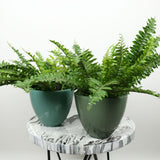 ARIZONA PLANTER Fiberglass Planters Gardia Planters Fiberglass planter for indoors and outdoors from big plus size planters and small pots for plants Large and big pots and large containers