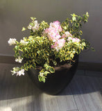 ARIZONA PLANTER Fiberglass Planters Gardia Planters Fiberglass planter for indoors and outdoors from big plus size planters and small pots for plants Large and big pots and large containers