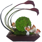 BONSAI PLANTER Fiberglass Planters Gardia Planters Fiberglass planter for indoors and outdoors from big plus size planters and small pots for plants Large and big pots and large containers