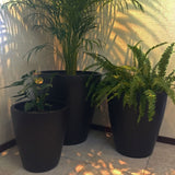 BRAZIL PLANTER Fiberglass Planters Gardia Planters Fiberglass planter for indoors and outdoors from big plus size planters and small pots for plants Large and big pots and large containers