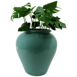 CAIRO PLANTER Fiberglass Planters Gardia Planters Fiberglass planter for indoors and outdoors from big plus size planters and small pots for plants Large and big pots and large containers