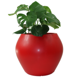 CANCUN PLANTER Fiberglass Planters Gardia Planters Fiberglass planter for indoors and outdoors from big plus size planters and small pots for plants Large and big pots and large containers