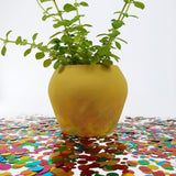 CANCUN PLANTER Fiberglass Planters Gardia Planters Fiberglass planter for indoors and outdoors from big plus size planters and small pots for plants Large and big pots and large containers