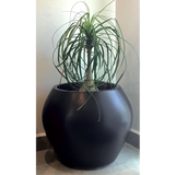 CANCUN PLANTER Fiberglass Planters Gardia Planters Fiberglass planter for indoors and outdoors from big plus size planters and small pots for plants Large and big pots and large containers
