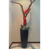 CONICAL CYLINDER PLANTER Fiberglass Planters Gardia Planters Fiberglass planter for indoors and outdoors from big plus size planters and small pots for plants Large and big pots and large containers
