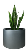 CYLINDER PLANTER Fiberglass Planters Gardia Planters Fiberglass planter for indoors and outdoors from big plus size planters and small pots for plants Large and big pots and large containers