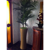 CLEOPATRA PLANTER Fiberglass Planters Gardia Planters Fiberglass planter for indoors and outdoors from big plus size planters and small pots for plants Large and big pots and large containers