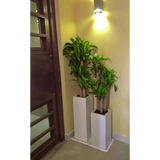 TALL CUBIC PLANTER Fiberglass Planters Gardia Planters Fiberglass planter for indoors and outdoors from big plus size planters and small pots for plants Large and big pots and large containers