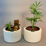 FLOWER POT PLANTER Fiberglass Planters Gardia Planters Fiberglass planter for indoors and outdoors from big plus size planters and small pots for plants Large and big pots and large containers