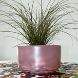 FLOWER POT PLANTER Fiberglass Planters Gardia Planters Fiberglass planter for indoors and outdoors from big plus size planters and small pots for plants Large and big pots and large containers