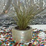 FLOWER POT PLANTER Fiberglass Planters Gardia Planters Fiberglass planter for indoors and outdoors from big plus size planters and small pots for plants Large and big pots and large containers