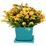 SMALL POT PLANTER Fiberglass Planters Gardia Planters Fiberglass planter for indoors and outdoors from big plus size planters and small pots for plants Large and big pots and large containers