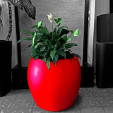 HAWAII PLANTER Fiberglass Planters Gardia Planters Fiberglass planter for indoors and outdoors from big plus size planters and small pots for plants Large and big pots and large containers