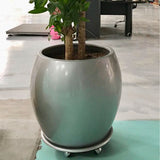 HAWAII PLANTER Fiberglass Planters Gardia Planters Fiberglass planter for indoors and outdoors from big plus size planters and small pots for plants Large and big pots and large containers