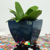 HOLLAND PLANTER Fiberglass Planters Gardia Planters Fiberglass planter for indoors and outdoors from big plus size planters and small pots for plants Large and big pots and large containers