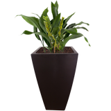 HOLLAND PLANTER Fiberglass Planters Gardia Planters Fiberglass planter for indoors and outdoors from big plus size planters and small pots for plants Large and big pots and large containers