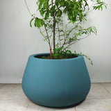 INDIANA PLANTER Fiberglass Planters Gardia Planters Fiberglass planter for indoors and outdoors from big plus size planters and small pots for plants Large and big pots and large containers