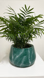 INDIANA PLANTER Fiberglass Planters Gardia Planters Fiberglass planter for indoors and outdoors from big plus size planters and small pots for plants Large and big pots and large containers