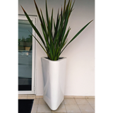 ITALY PLANTER Fiberglass Planters Gardia Planters Fiberglass planter for indoors and outdoors from big plus size planters and small pots for plants Large and big pots and large containers