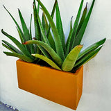 WALL RECTANGULAR PLANTER Fiberglass Planters Gardia Planters Fiberglass planter for indoors and outdoors from big plus size planters and small pots for plants Large and big pots and large containers