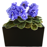 RECTANGULAR PLANTER Fiberglass Planters Gardia Planters Fiberglass planter for indoors and outdoors from big plus size planters and small pots for plants Large and big pots and large containers