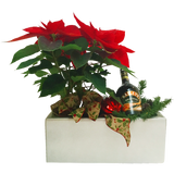 RECTANGULAR PLANTER Fiberglass Planters Gardia Planters Fiberglass planter for indoors and outdoors from big plus size planters and small pots for plants Large and big pots and large containers