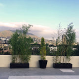 RECTANGULAR PLANTER Fiberglass Planters Gardia Planters Fiberglass planter for indoors and outdoors from big plus size planters and small pots for plants Large and big pots and large containers