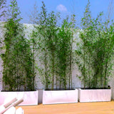 RECTANGULAR PLANTER Fiberglass Planters Gardia Planters Fiberglass planter for indoors and outdoors from big plus size planters and small pots for plants Large and big pots and large containers