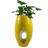 KADABRA PLANTER Fiberglass Planters Gardia Planters Fiberglass planter for indoors and outdoors from big plus size planters and small pots for plants Large and big pots and large containers
