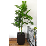 KENYA PLANTER Fiberglass Planters Gardia Planters Fiberglass planter for indoors and outdoors from big plus size planters and small pots for plants Large and big pots and large containers