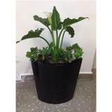 NILE PLANTER Fiberglass Planters Gardia Planters Fiberglass planter for indoors and outdoors from big plus size planters and small pots for plants Large and big pots and large containers